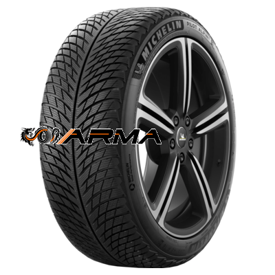 Шины 305/30R21 104V XL Pilot Alpin 5 NA5 TL купить в Москве с доставкой по России